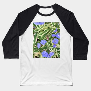 Variegated leaves with Light Blue Flowers - Floral Photograph - Early Summer Flowers Baseball T-Shirt